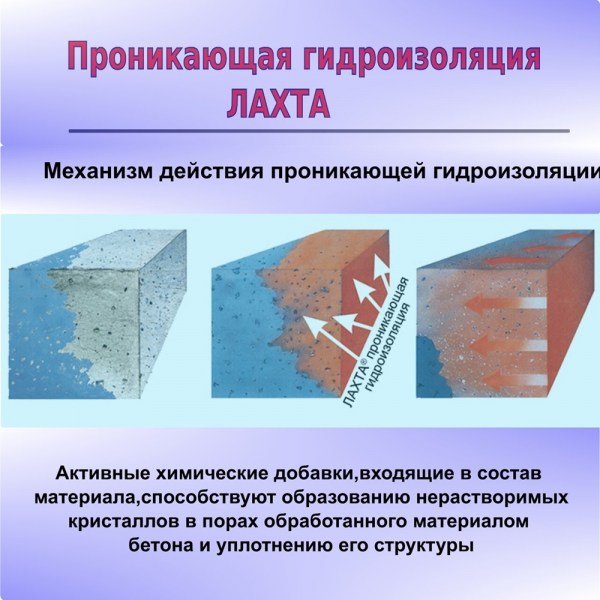 Lahta-Pronikaujaya_4_ozon